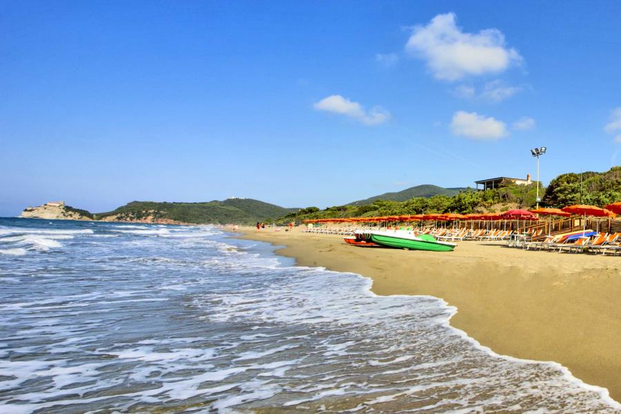 Undici Cinghiali In Spiaggia Fuggi Fuggi Generale Alle