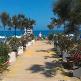 Camping Praia Mare